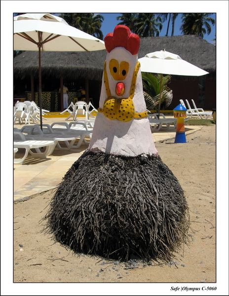 2005 - 11 - Porto de galinhas - hotel atlantico 40.JPG